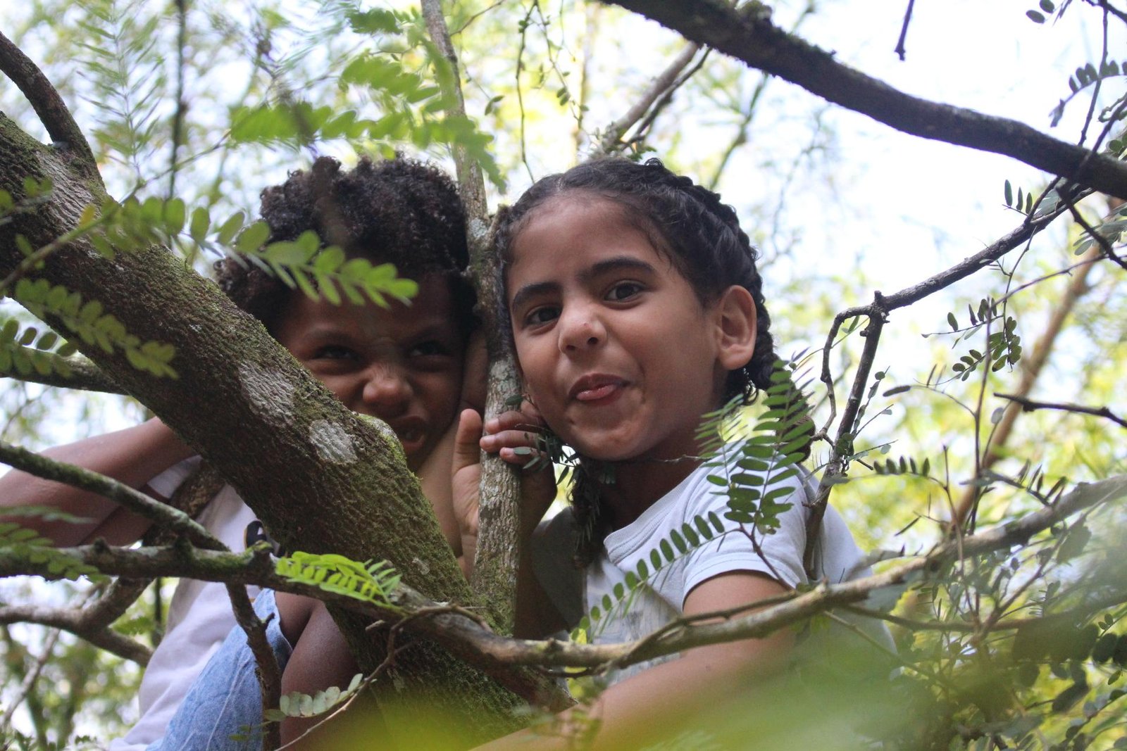 Não batam nas crianças, uma dívida com a vida